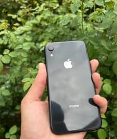 iphone xr fresh import (jv)