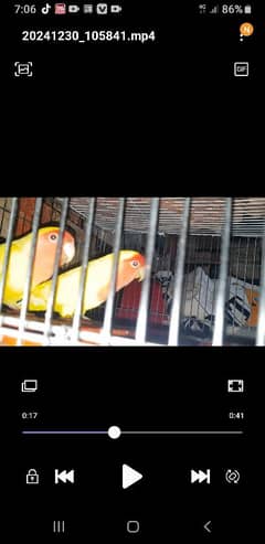 full pir h aktv h full brids h 03006682642