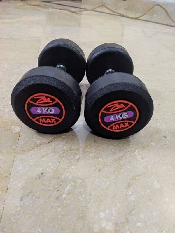 4 Kg Dumbbell Pair | High Quality 2