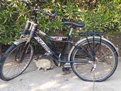 Cycle for sale