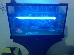 2.5 ft aquarium with trolley