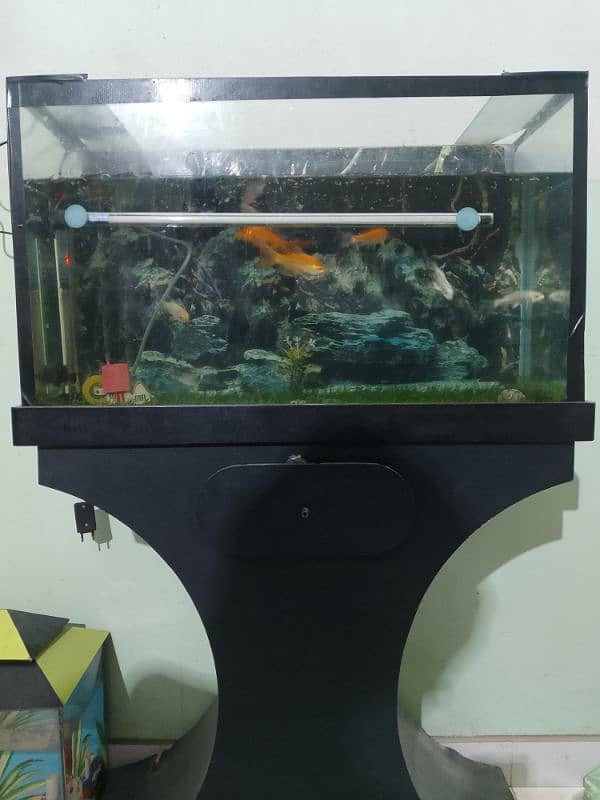 2.5 ft aquarium with trolley 2