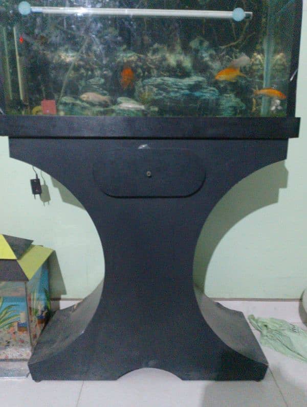 2.5 ft aquarium with trolley 4