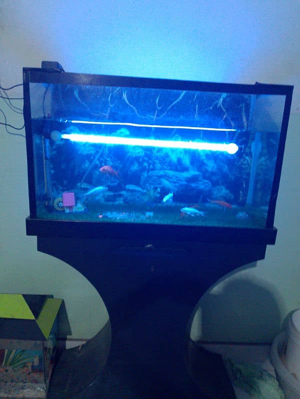 2.5 ft aquarium with trolley 5