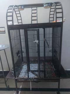 Parrot cage