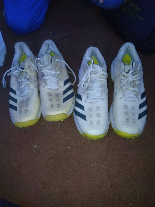 cricket Shoes Adidas spike 0