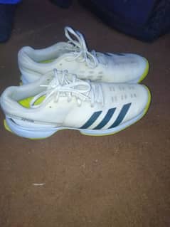 cricket Shoes Adidas spike