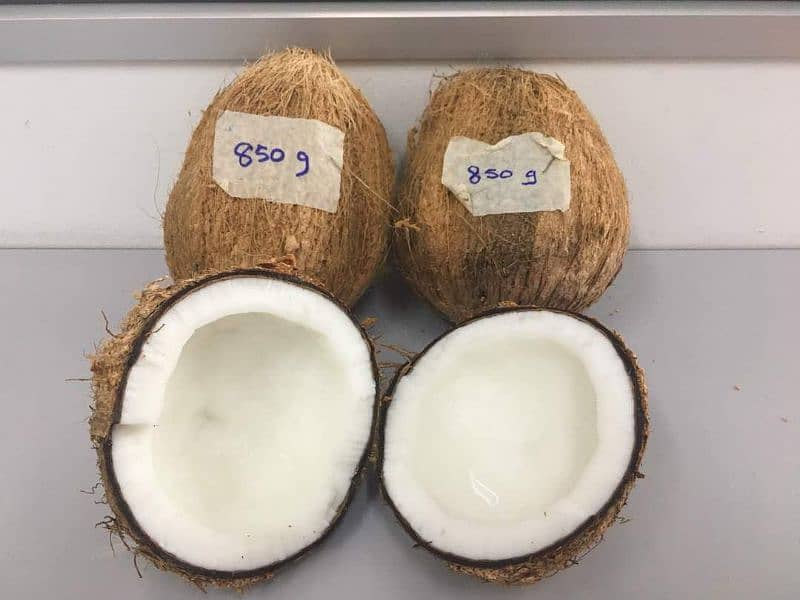 fresh coconut 0