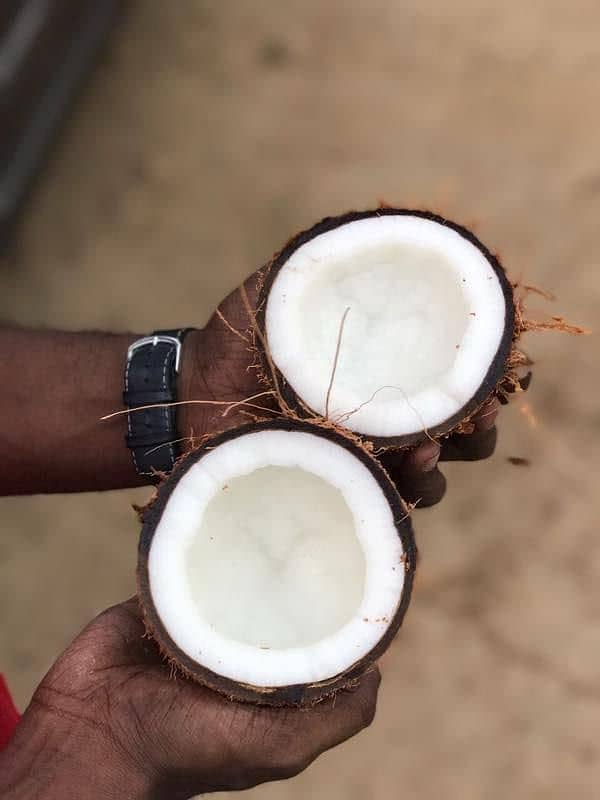 fresh coconut 1