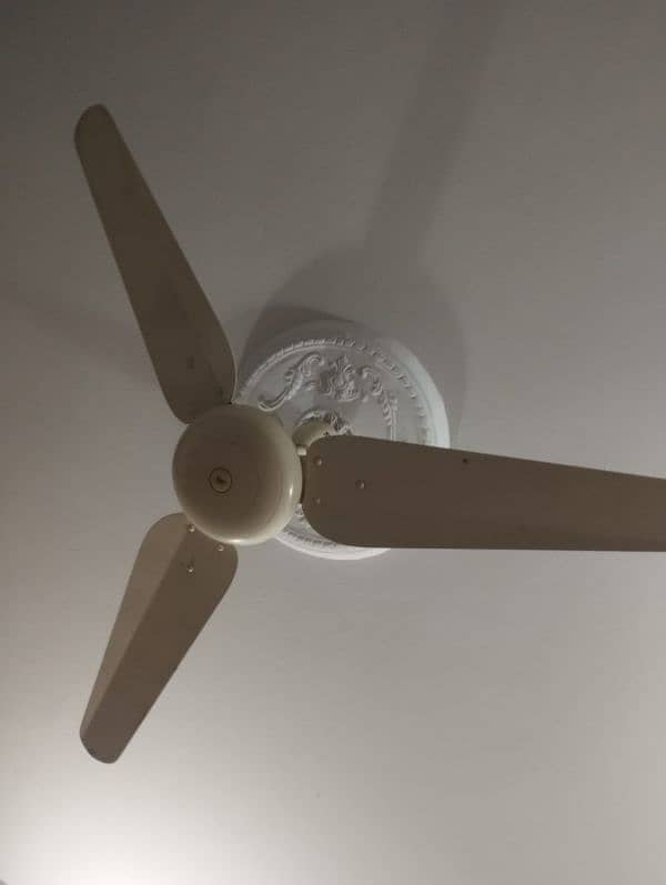 Fans In great condition 5