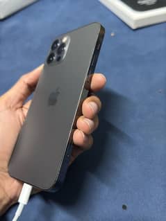 iphone 12 pro pta approved