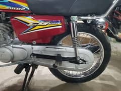 Honda 125 2019