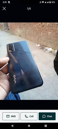 vivo