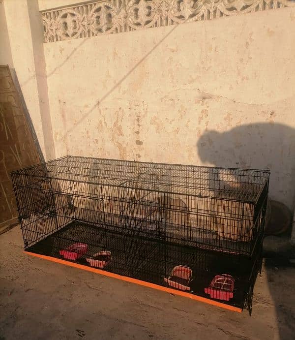 cage sale 0335-1576900 3