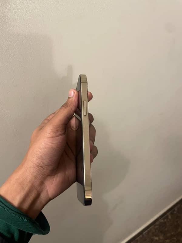 Iphone 12 pro Pta approved 5