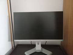 Eizo 24" 3 Side Bezelless LED For Sale