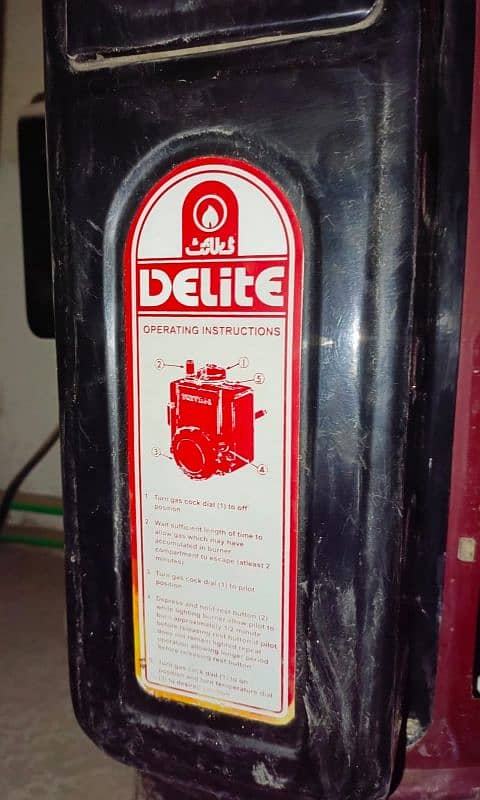 Delite Geyser Gas & Electric (22 Gallons) 0