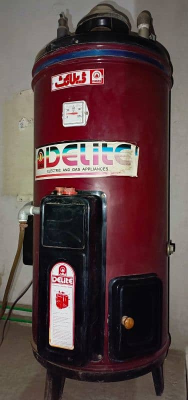 Delite Geyser Gas & Electric (22 Gallons) 1