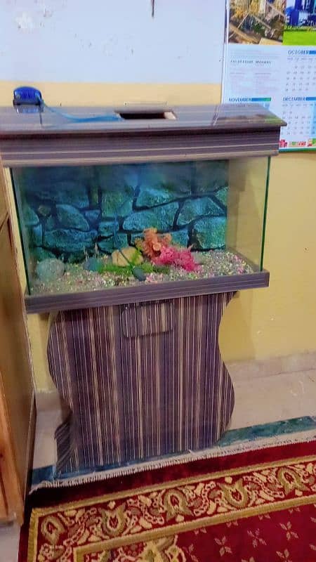 Aquarium with wooden stand 0