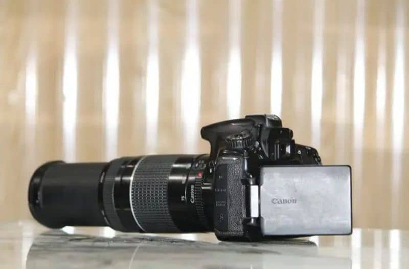 Canon 60d with 75-300mm lense 3