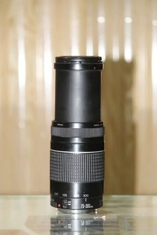 Canon 60d with 75-300mm lense 4