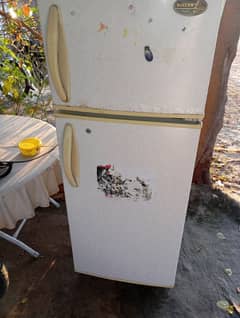 fridge