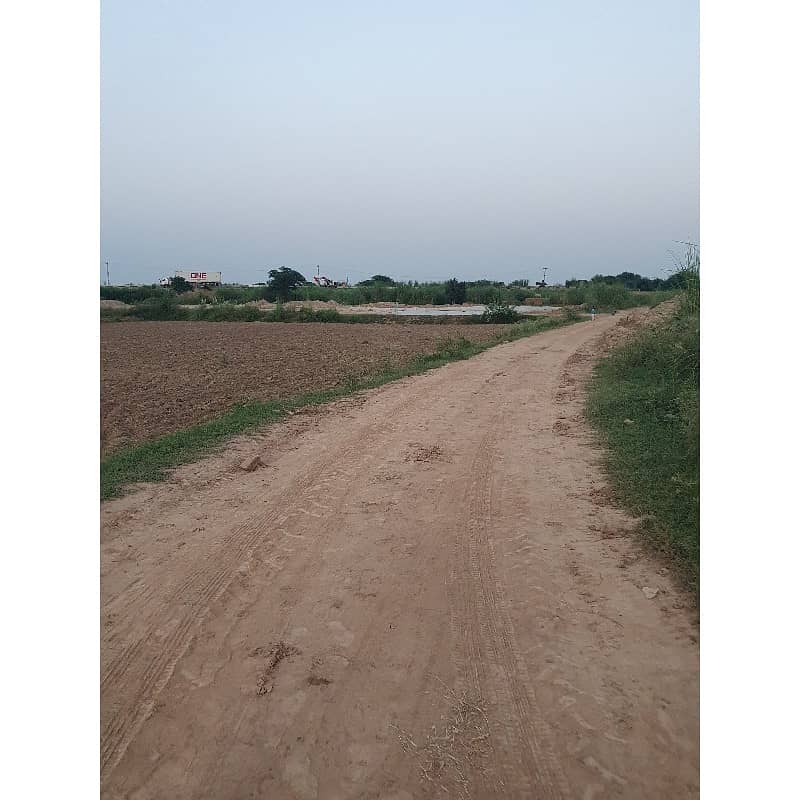 100 Kanal Agricultural Land For Sale Chakwal 0