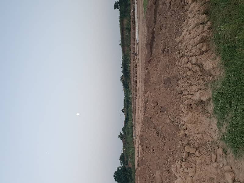 100 Kanal Agricultural Land For Sale Chakwal 5