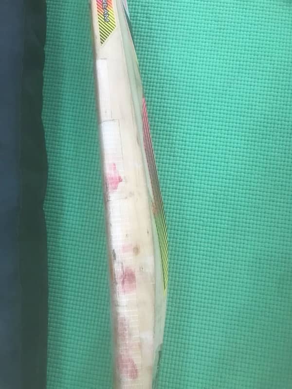 SPARTAN ENGLISH WILLOW BAT with cover + other items 2