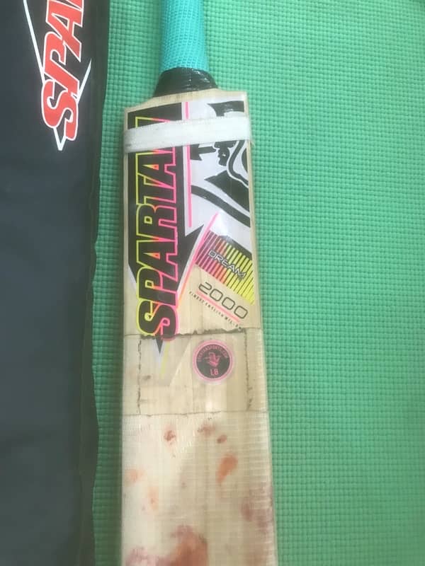 SPARTAN ENGLISH WILLOW BAT with cover + other items 4