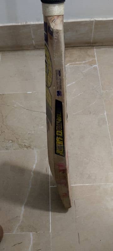 English Willow Hardball bat 5