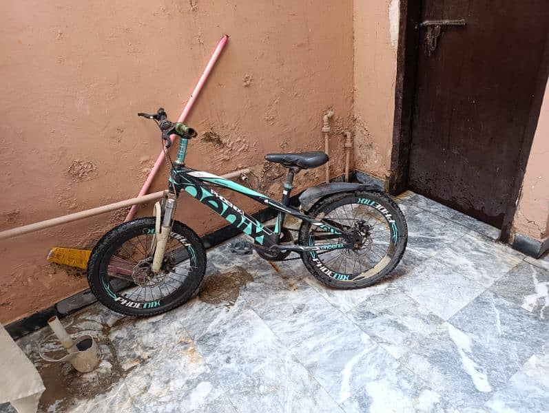 Phoniex 20" Kids bicycle 1