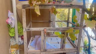 birds cage for sale