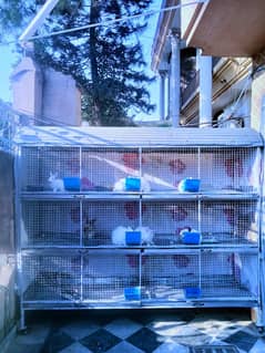 cage for Sale