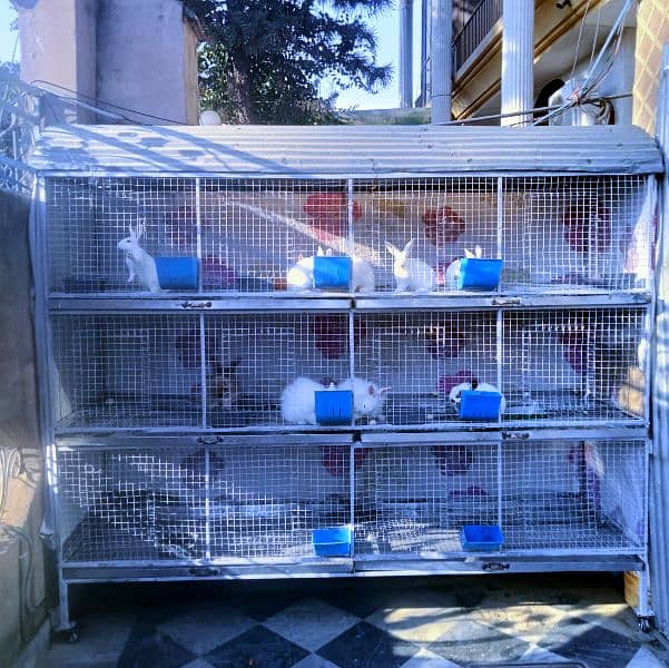 cage for Sale 1