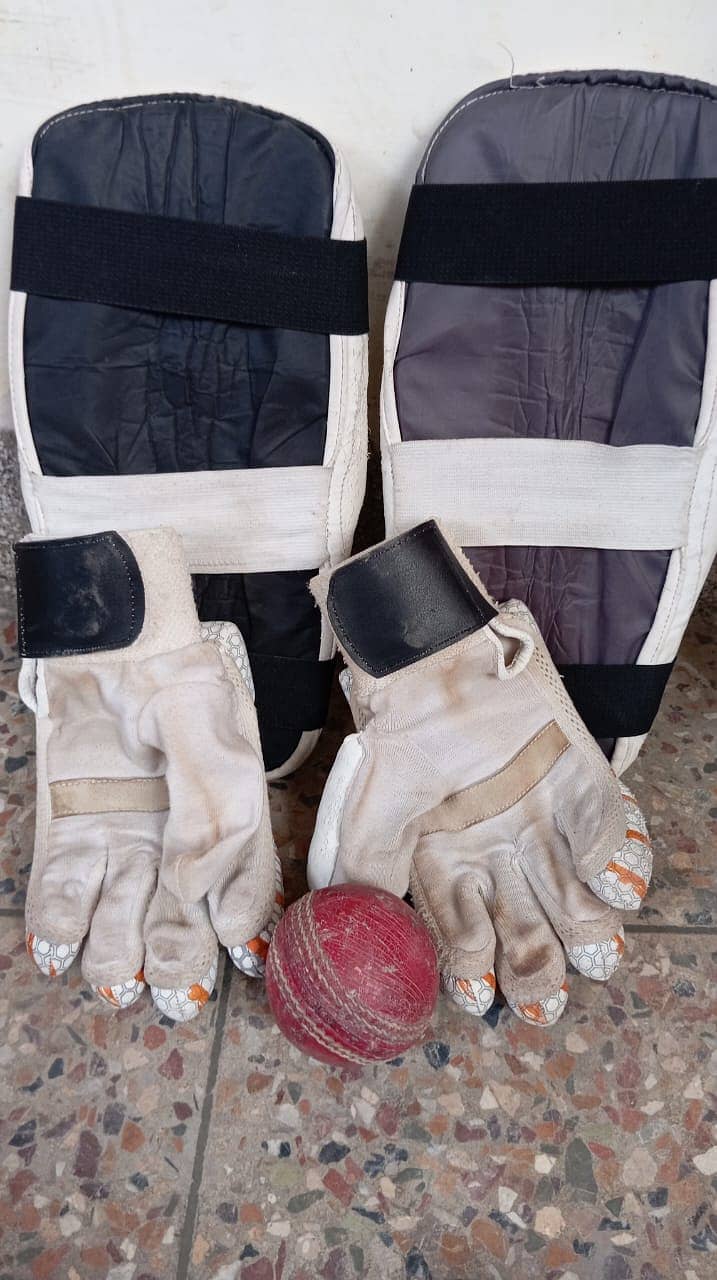 Hard Ball cricket kit Accessories. 11