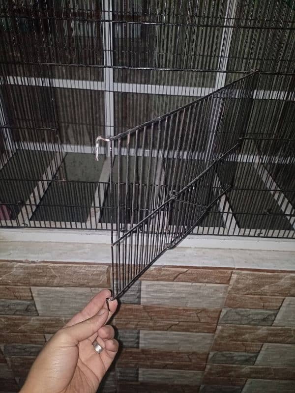 Cage for Parrots 2