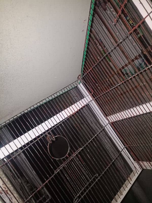 Cage for Parrots 6