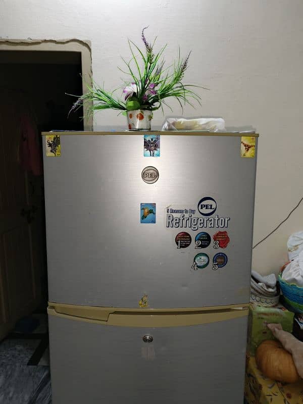 PEL Refrigerator for Sale 0