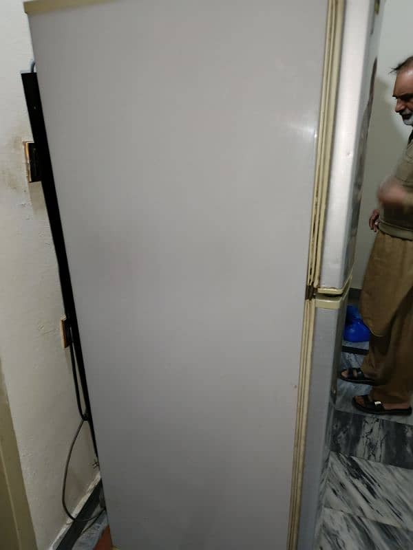 PEL Refrigerator for Sale 3