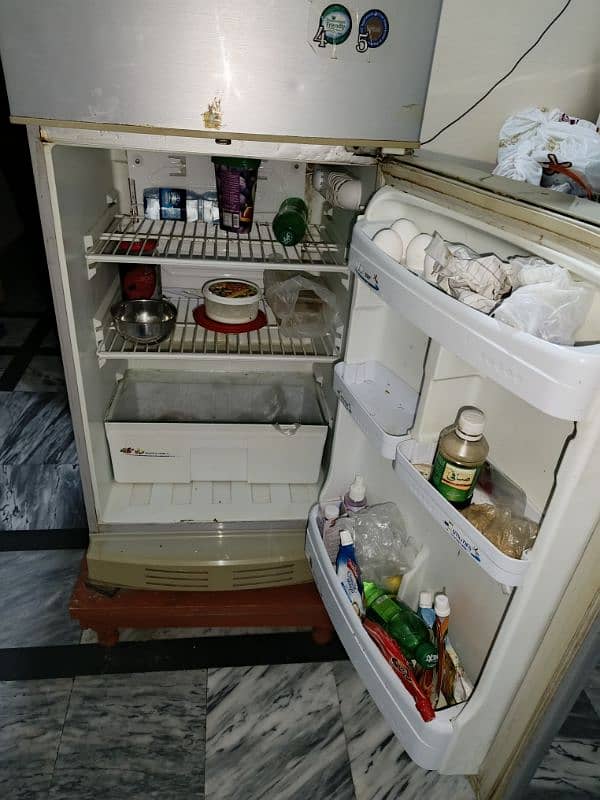 PEL Refrigerator for Sale 4