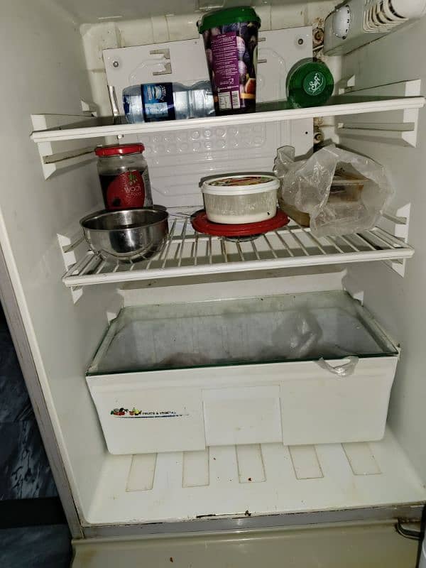 PEL Refrigerator for Sale 5