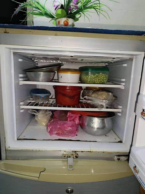 PEL Refrigerator for Sale 6