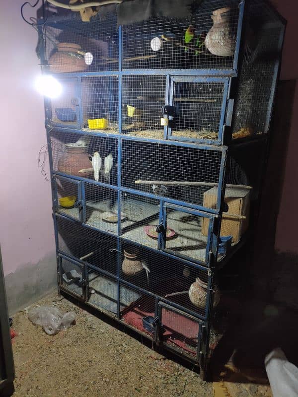 Birds Cage for breeding 2