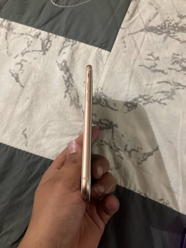 iphone 8 64 gb pta aprove 2