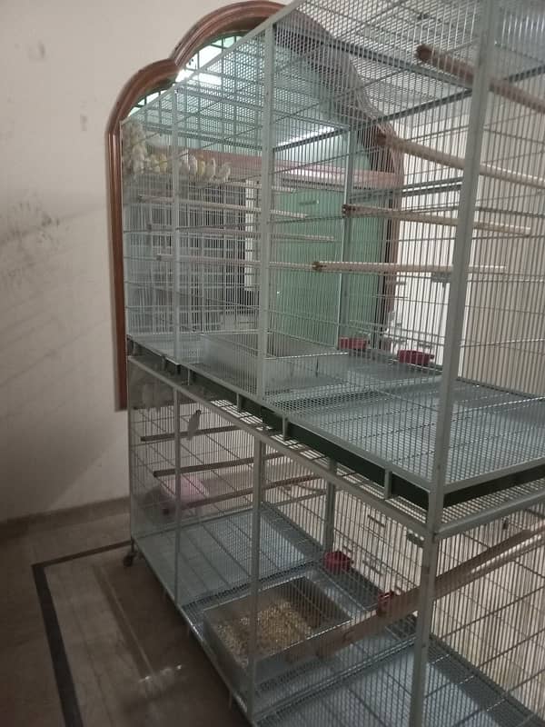 cages and avairy 1