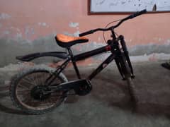 Sport Cycle