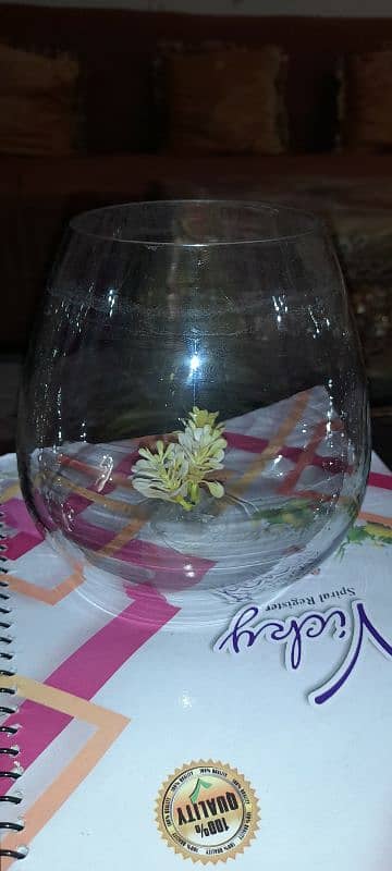 Glass bowl fish aquarium urgent sale 0