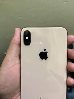 XS MAX 512 GB