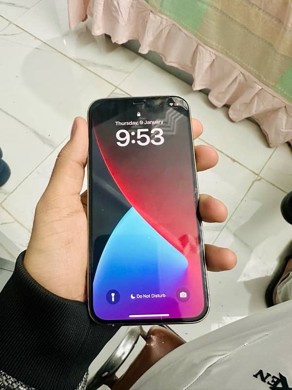 Iphone 12 Pro (NON PTA) 4